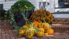 Halloween porch planting with pumpkins with chrysanthemums