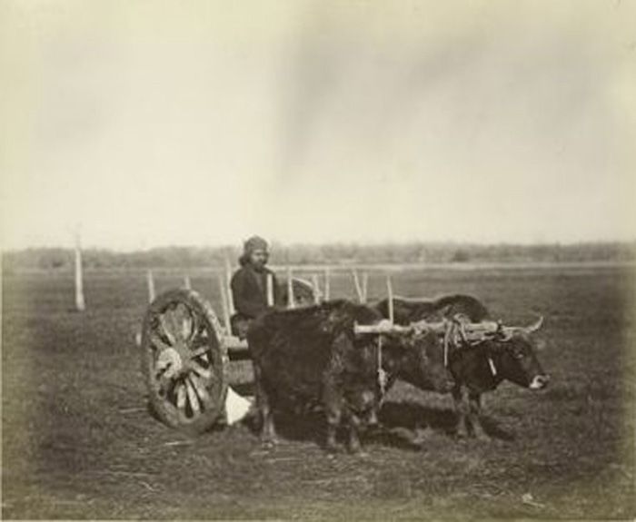 In Photos Early Bronze Age Chariot Burial Live Science