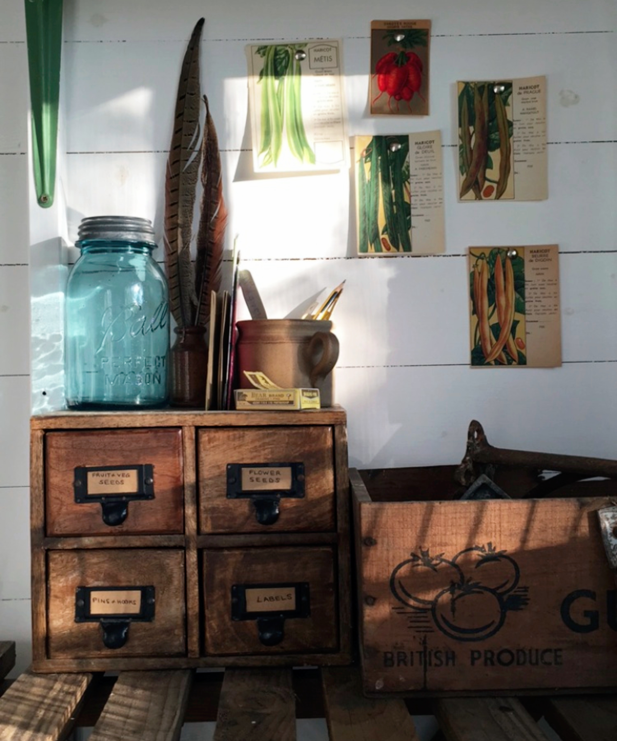 seeds being stored in a garden shed