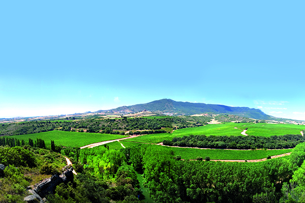 00000a114-Propiedad_de_Arnzano_vista_panoramica_vias.jpg