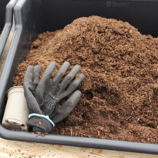 Black gardening gloves and plastic plant pot in tray with compost