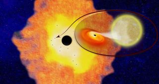 A dark dot is surrounded by lots of small pinpoints; a zoom in on one of them shows a black hole pulling material from a much larger star.