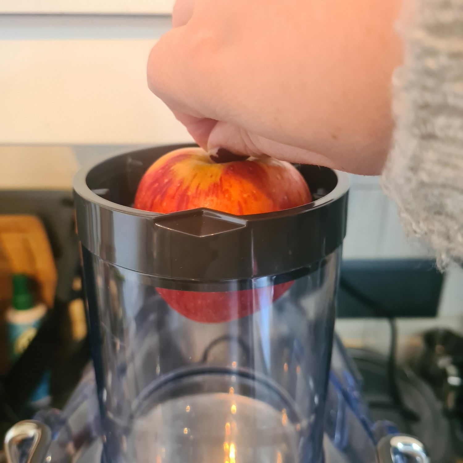 Breville The 3x Bluicer