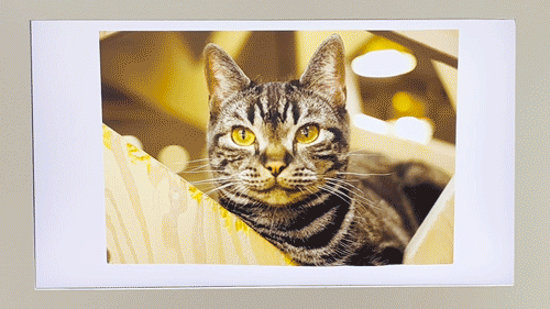 Canon's EOS VR / MReal / Dual Pixel 3D demonstration at CP+ 2026