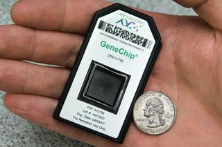 The PhyloChip enables scientists to quantify how bacterial communities interact and change over time without the need to grow bacterial cultures. As part of the team that developed the PhyloChip, Eoin Brodie received an R&D100 and Wall Street Journal Technology Innovation award.
