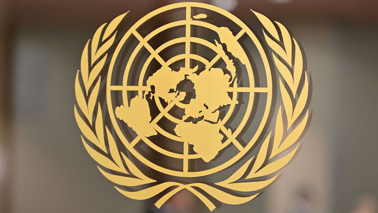 United Nations logo 