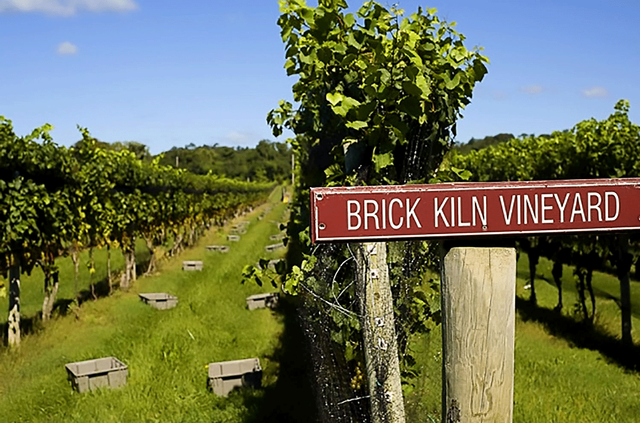 Channing Daughters Brick Kiln Vineyard