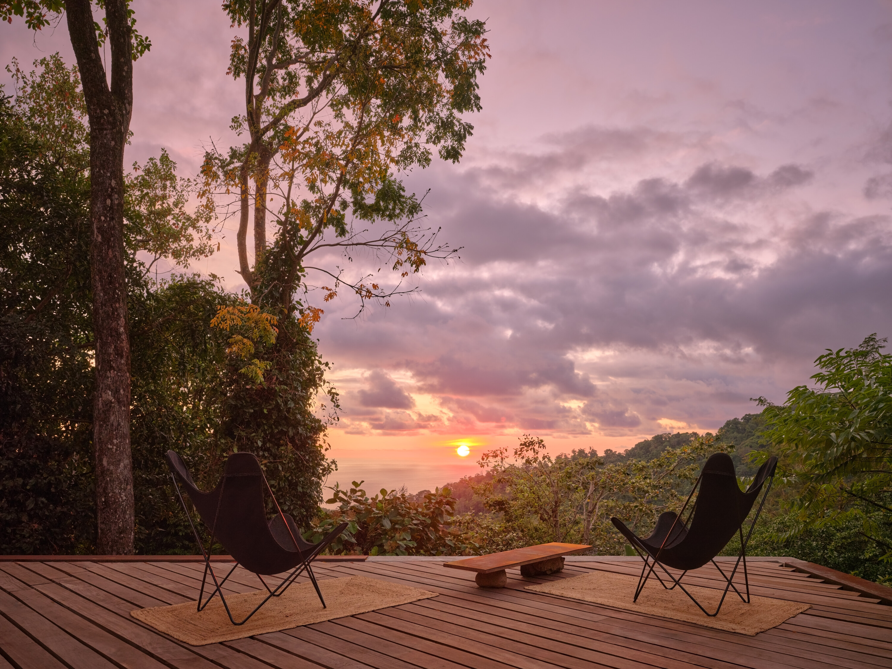 The view from the terrace