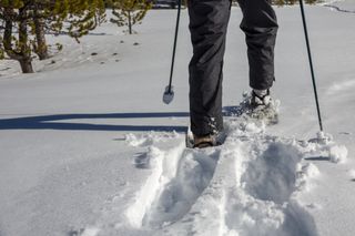 A person wearing black pants and snowshoes with poles