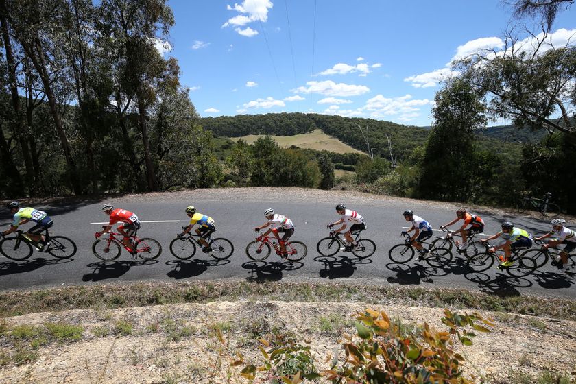 VICTORIA, AUSTRALIA - FEBRUARY 4: Anthony Giacoppo of Australia and the Bennelong Swisswellness Team leads the peloton over the top of a climb in the Jayco Herald Sun Tour, stage 4, 152.1km road race - 5 x 31.1km laps on February 4, 2018 in Kinglake, Victoria, Australia. (Photo by Con Chronis/Getty Images)