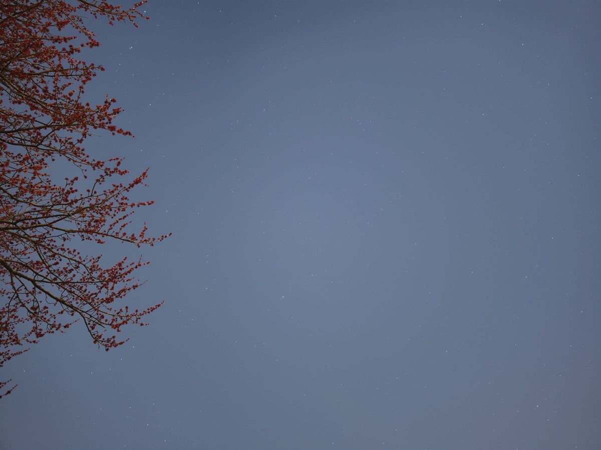 Samsung Galaxy S26 Ultra Expert RAW sample.