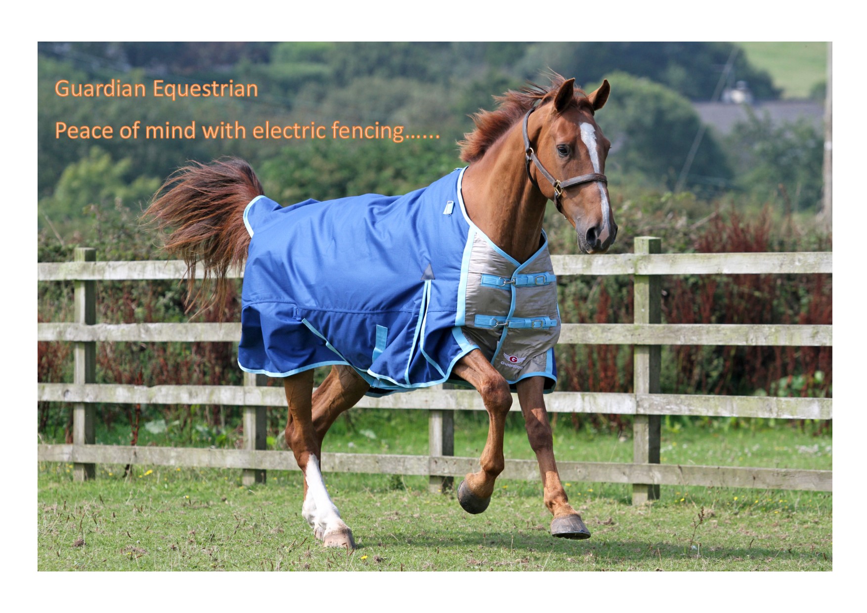 Guardian fencing image