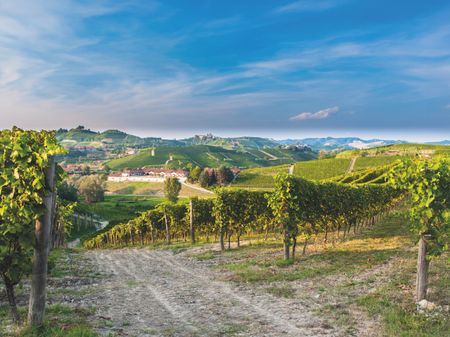 Winery buildings and vineyards surrounding Cantina Angelo Negro in central Piedmont, northwest of Alba