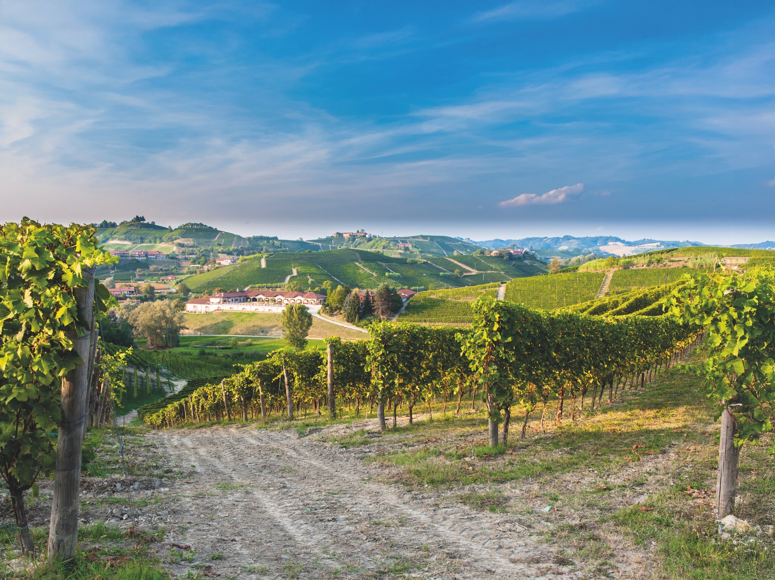 Winery buildings and vineyards surrounding Cantina Angelo Negro in central Piedmont, northwest of Alba