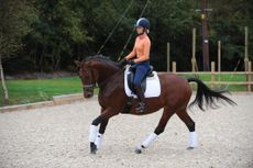 Dressage rider riding canter on a bay horse