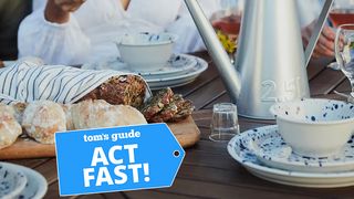 IKEA silversida dinnerware set