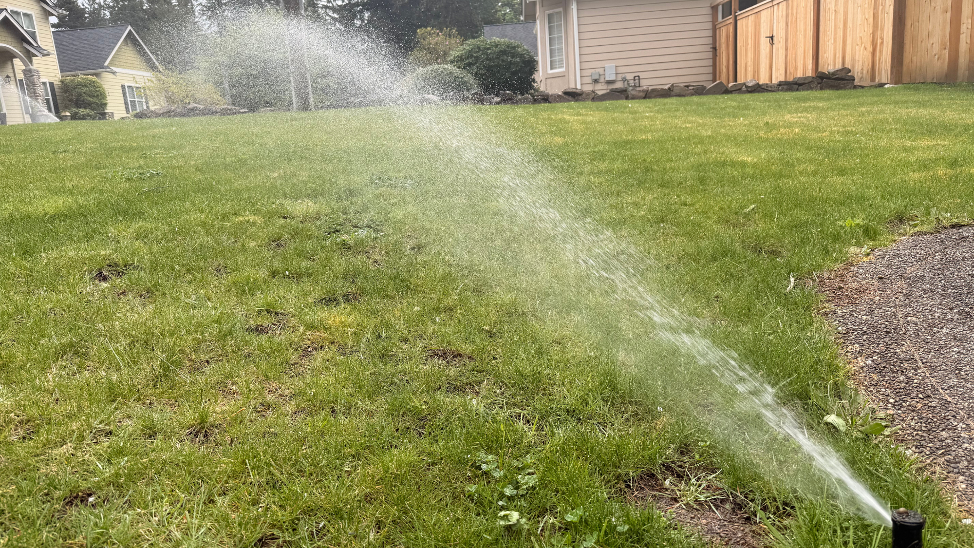 A sprinkler running in a lawn