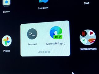 Linux on Chromebook