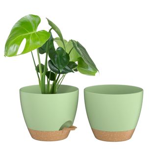 Two green self-watering pots