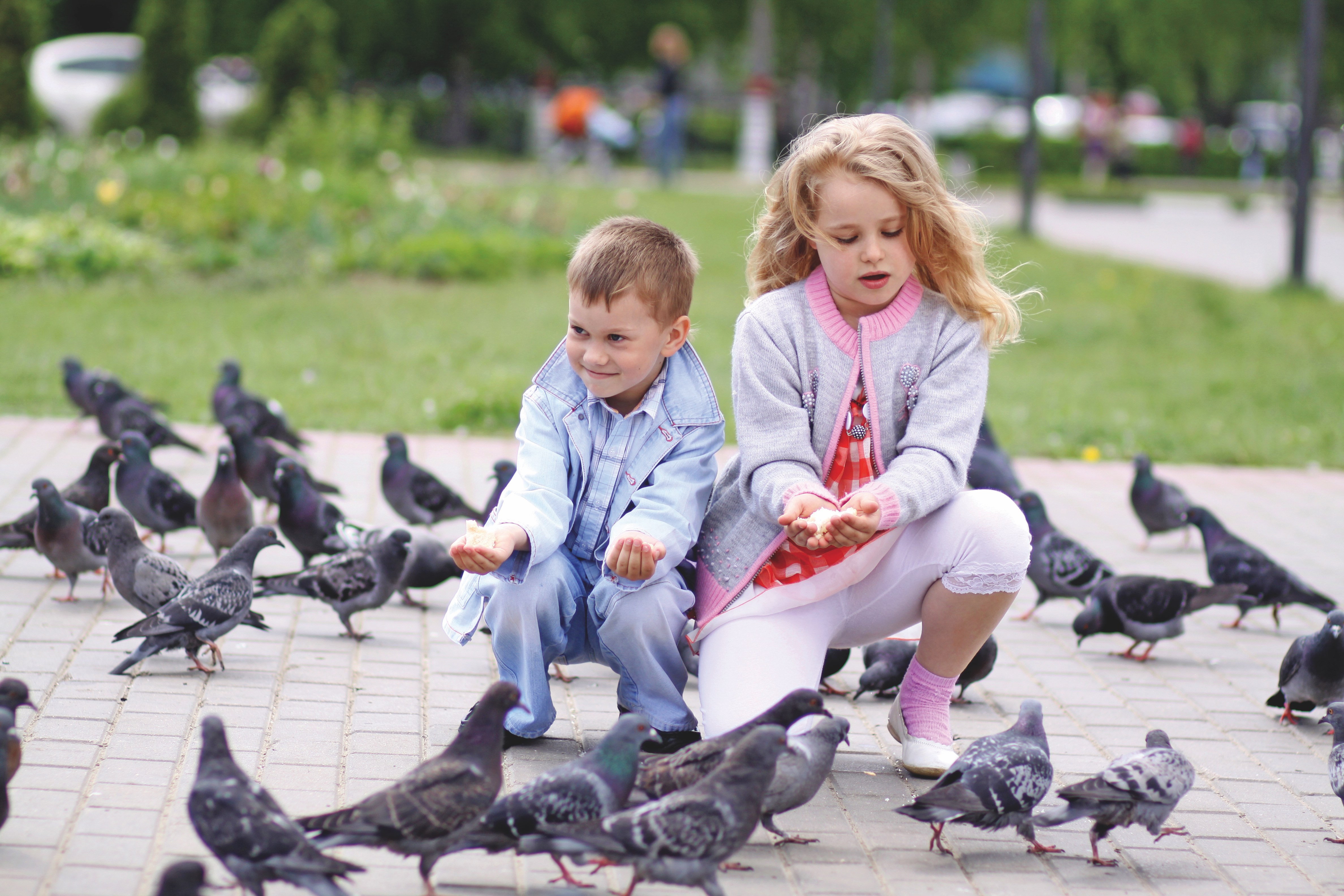 Two children feeding pigeons