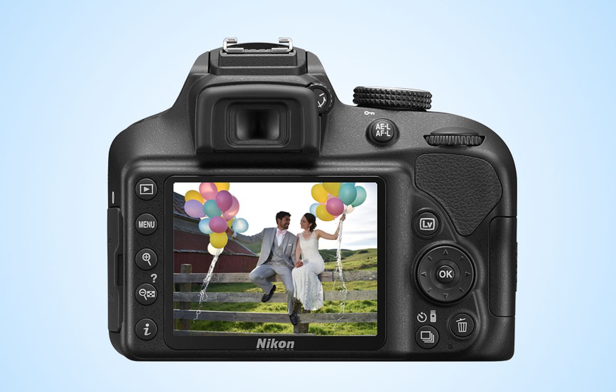 Nikon D3400 DSLR Camera Review – Transition Wild