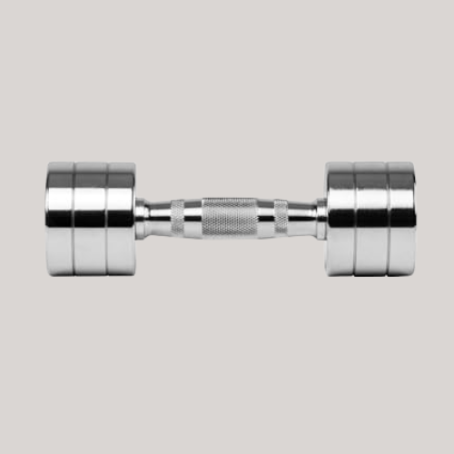 Everlast Chrome Dumbbell Chrome 4kg 4kg