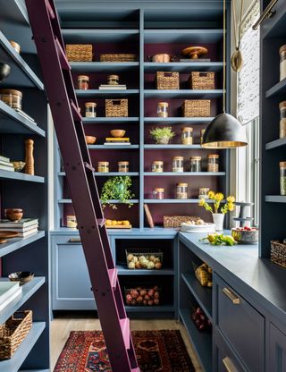 Pantry storage with painted shelves