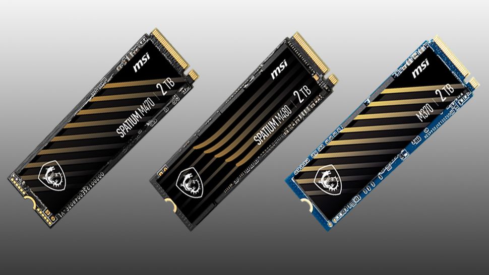 MSI SPATIUM M461 PCIe 4.0 NVMe M.2 2TB 内蔵SSD S78-440Q550-P83