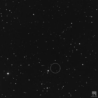 Asteroid 2017 BX as Seen By Slooh