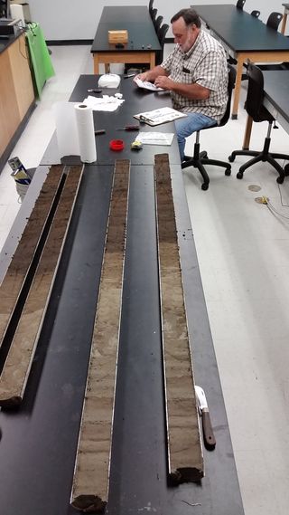 The long sediment cores are cut in half in order to extract samples for analysis.