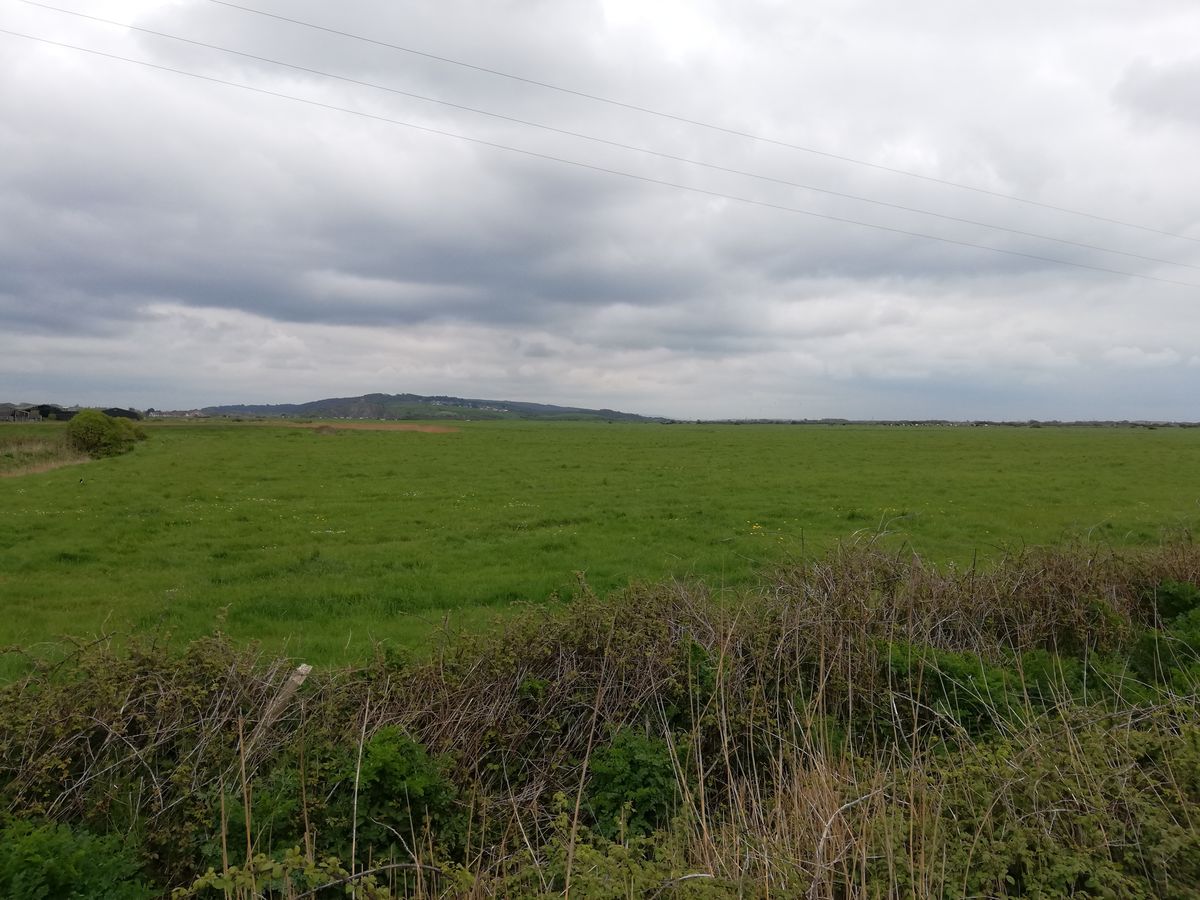 Slightly overexposed skies in auto mode