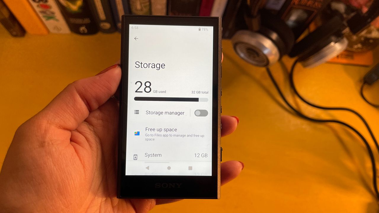 Sony NW-A306 storage