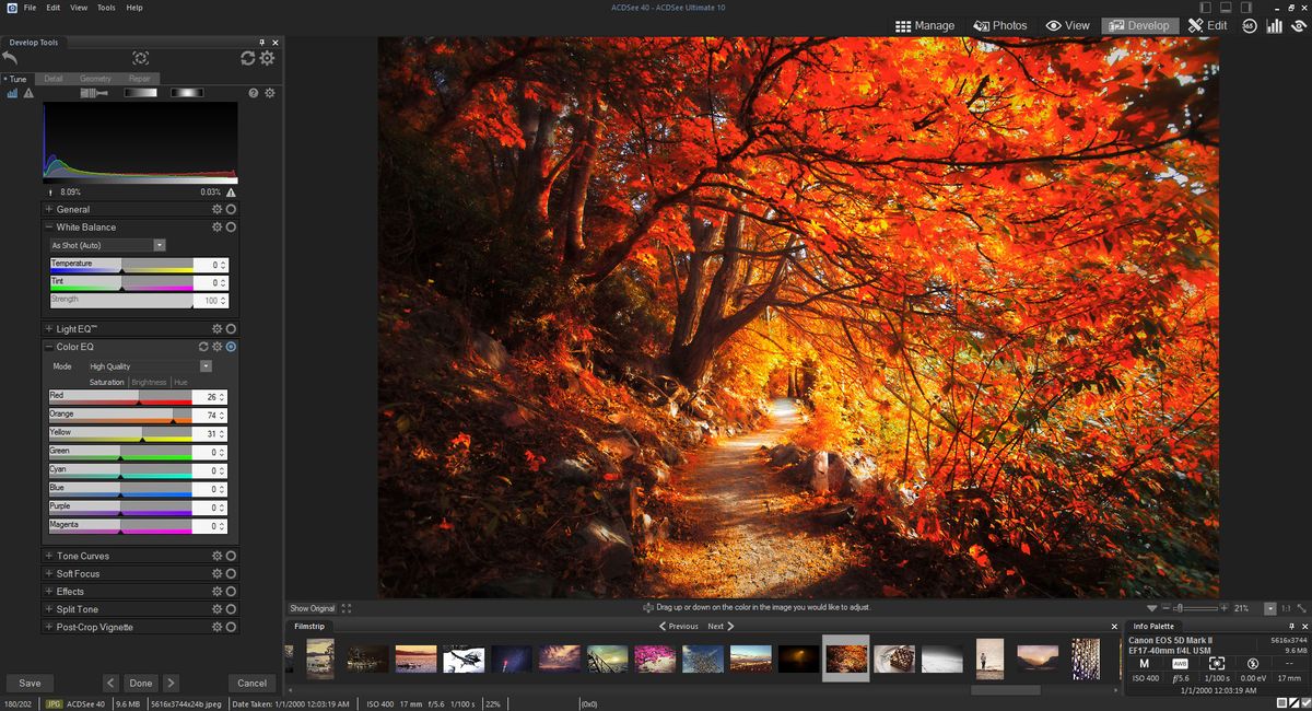 David vs Goliath: How ACDSee Ultimate 10 is replacing Lightroom and ...