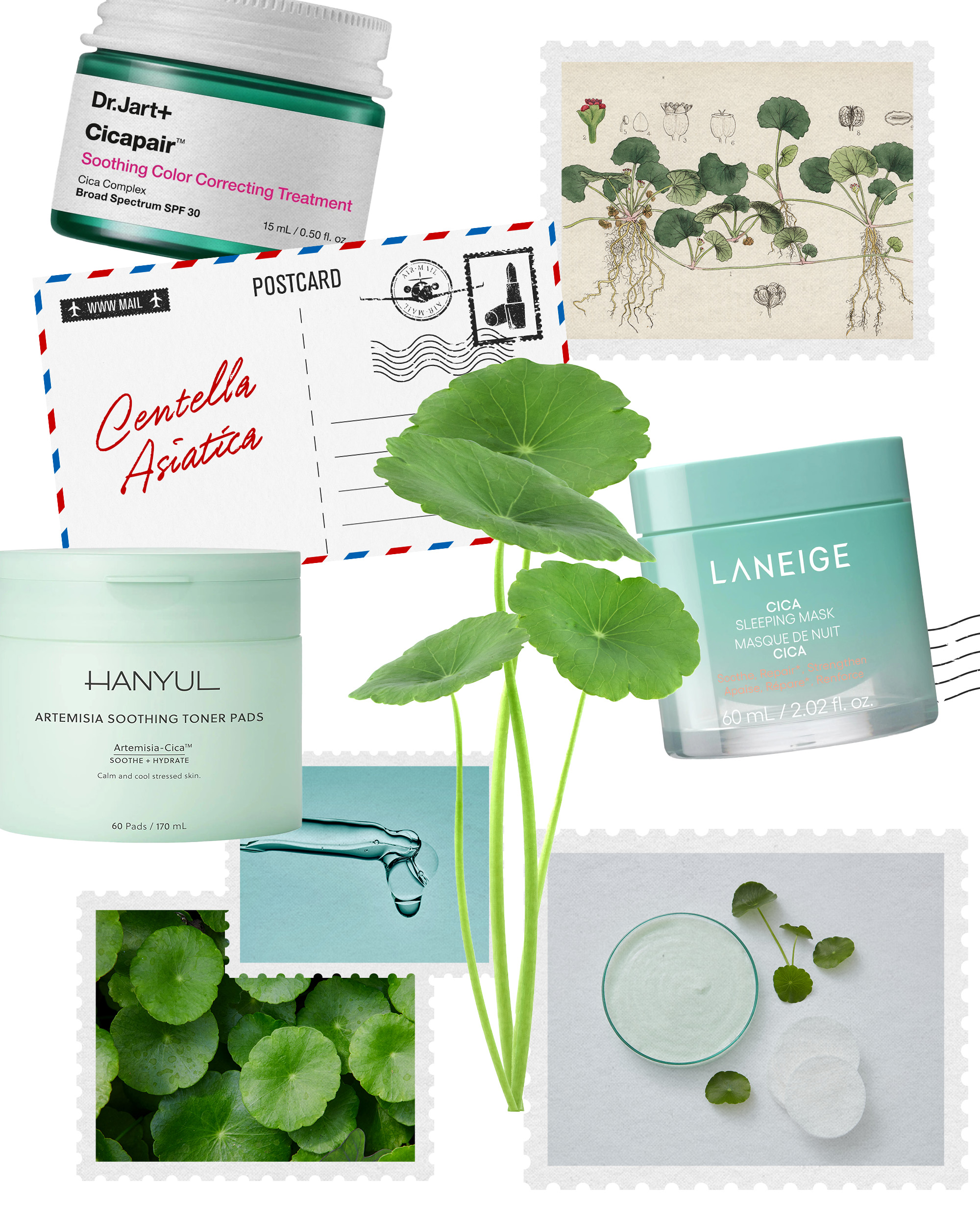 Cica skincare collage