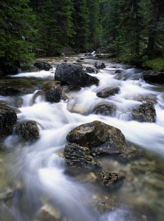 Rock Creek, Montana