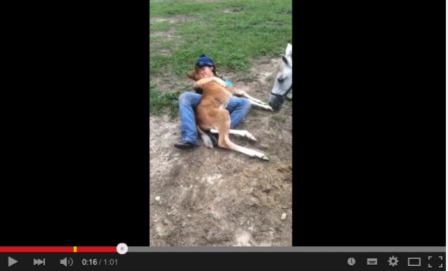 Screen-shot-2015-04-22-at-12.52.37-e1429703587933.png