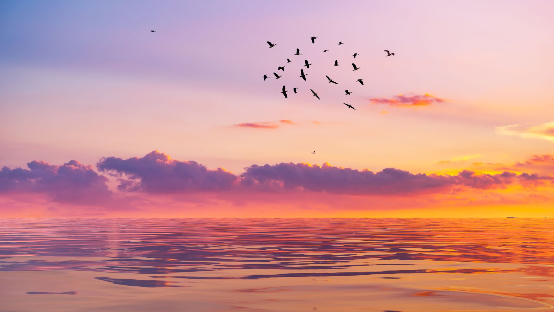 birds flying over a pink sky