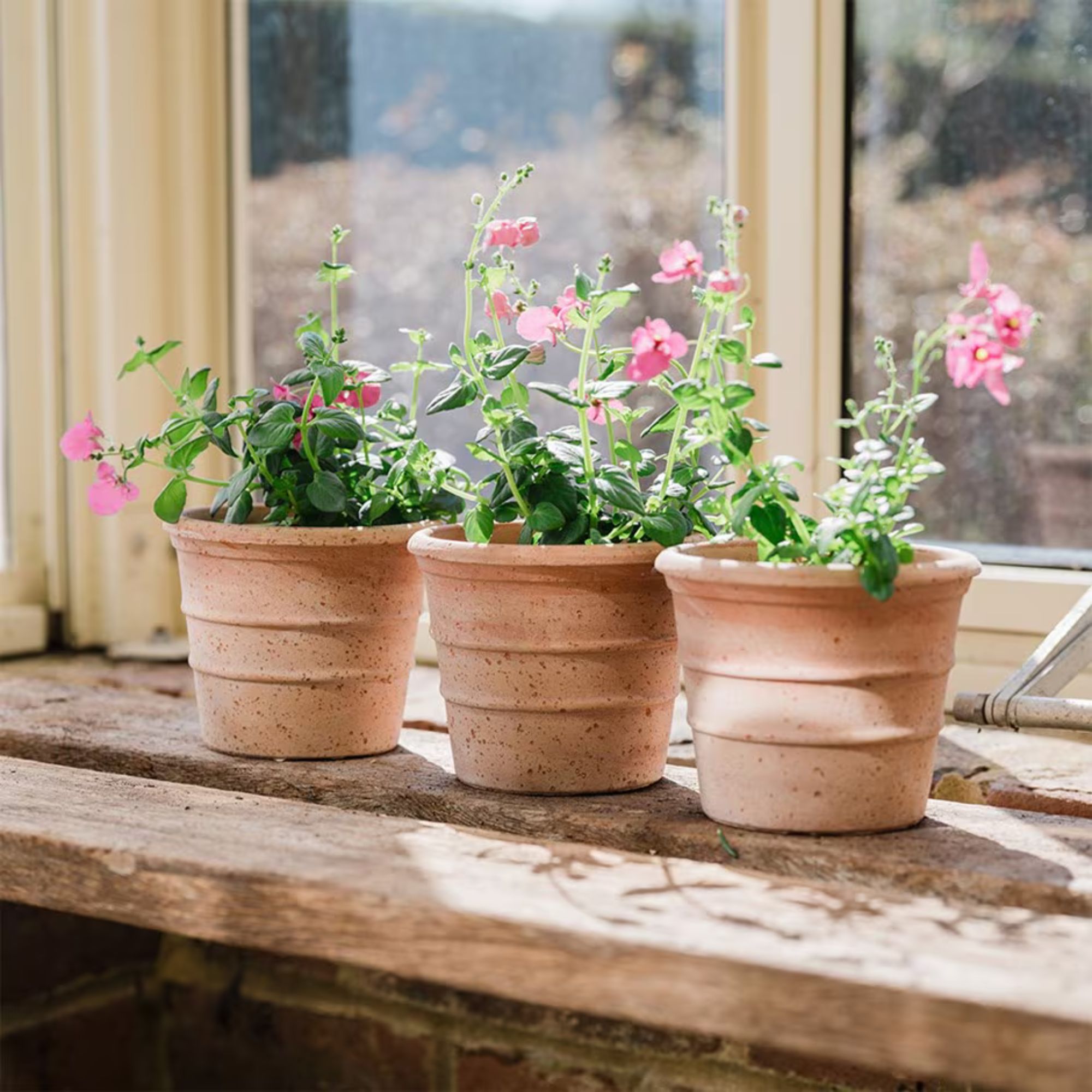 Waitrose Garden Mini ridged grow pot - terracotta