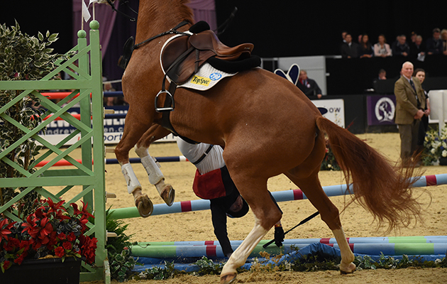 Class6_HOYSPN15_49691