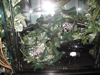 Clusters of Chanel fine jewellery, encased in a foliage-filled display box, sit in a corner of the camellia garden