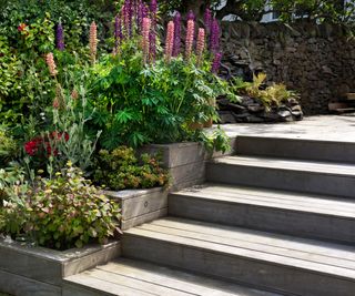 wooden decking steps with flower filled borders