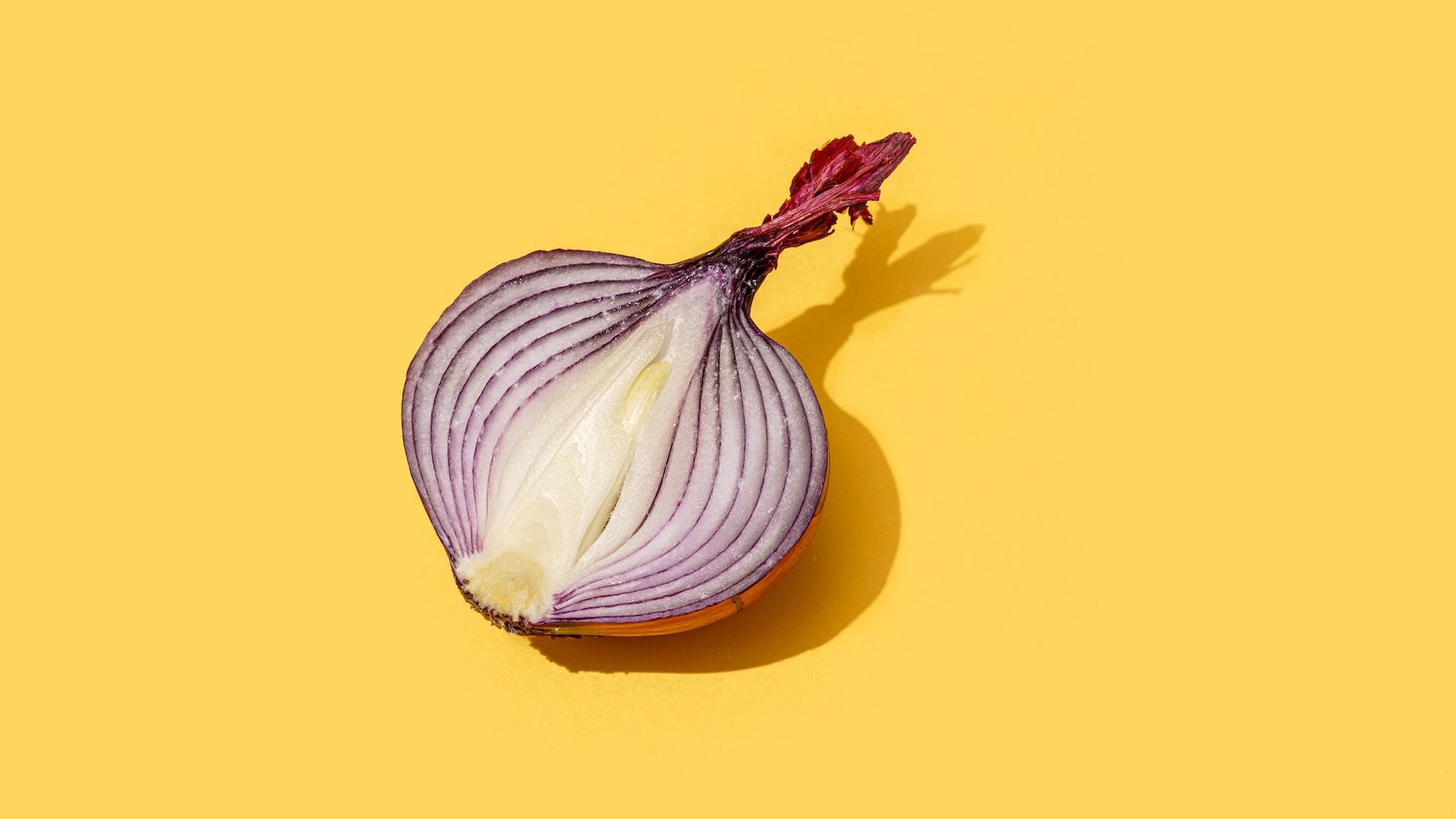 a photo of a red onion cut in half on a yellow background