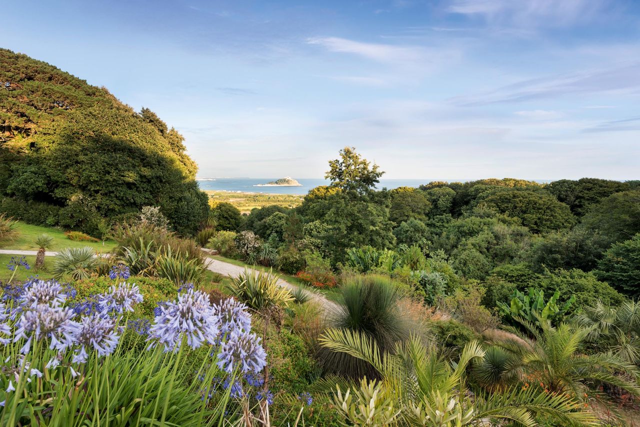 The view from Tremenheere Scuplture Garden, Cornwall. Until the Dissolution, the garden provided the monks on St Michael’s Mount (in the distance) with wine and vegetables.