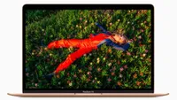 MacBook Air (M1, 2020) with screen open showing photo of a woman rolling through flowers