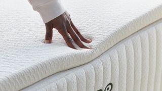 A hand pressing down on the Avocado Eco Organic mattress topper