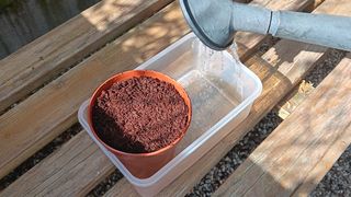 Watering compost from base of pot