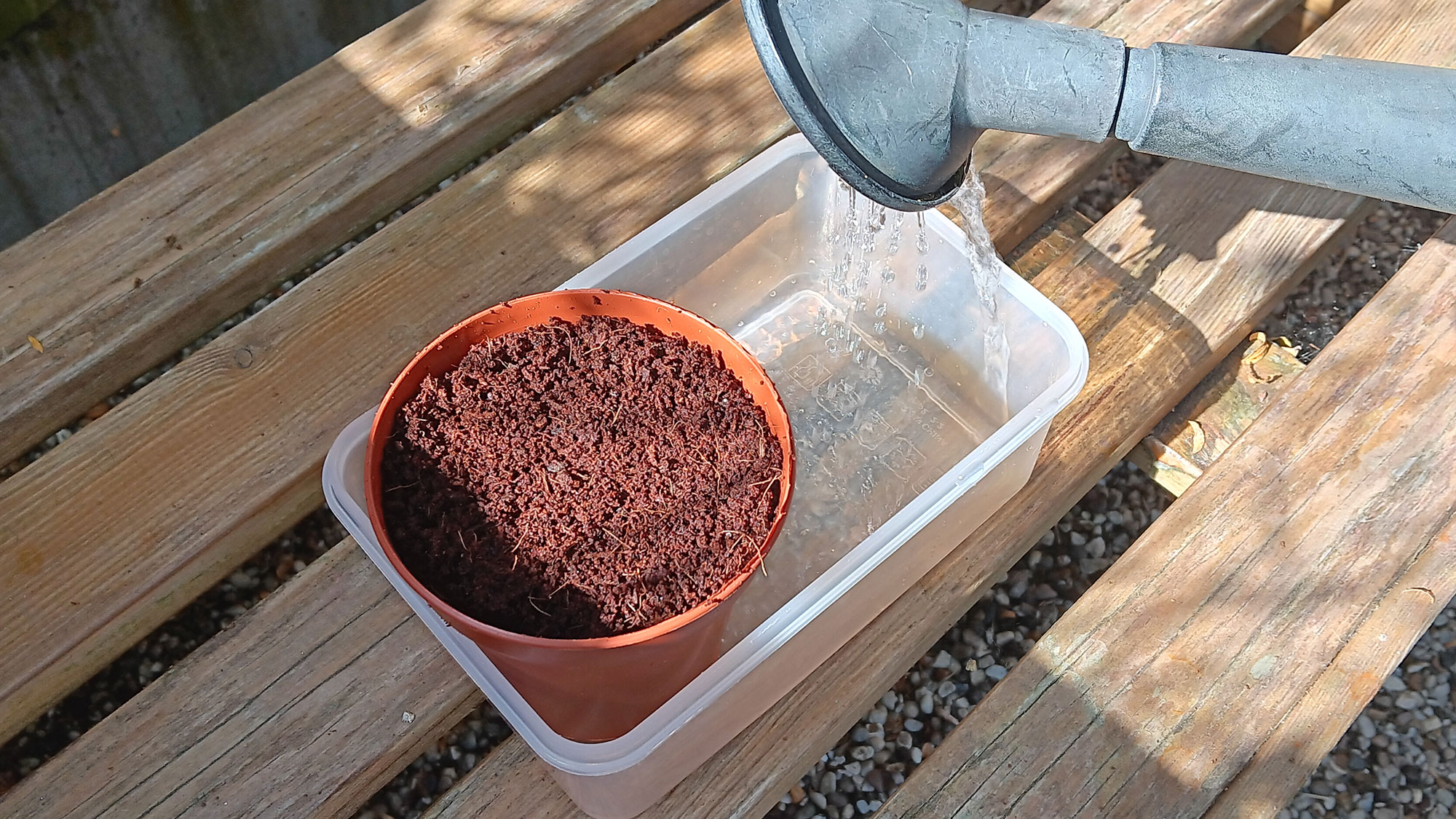 Pour compost from the bottom of the pot