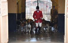 Belvoir-kennels-21.12.1765815_162584941_247131601.jpg