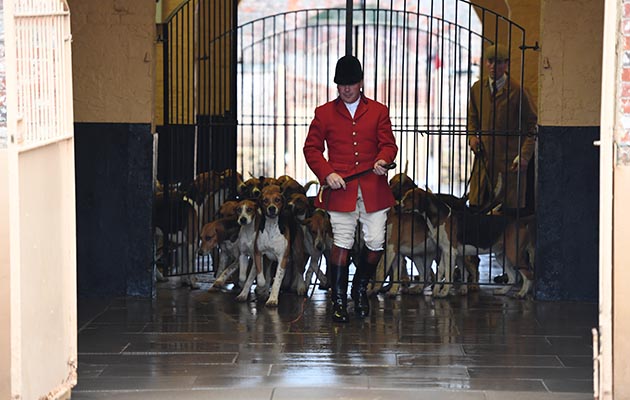 Belvoir-kennels-21.12.1765815_162584941_247131601.jpg