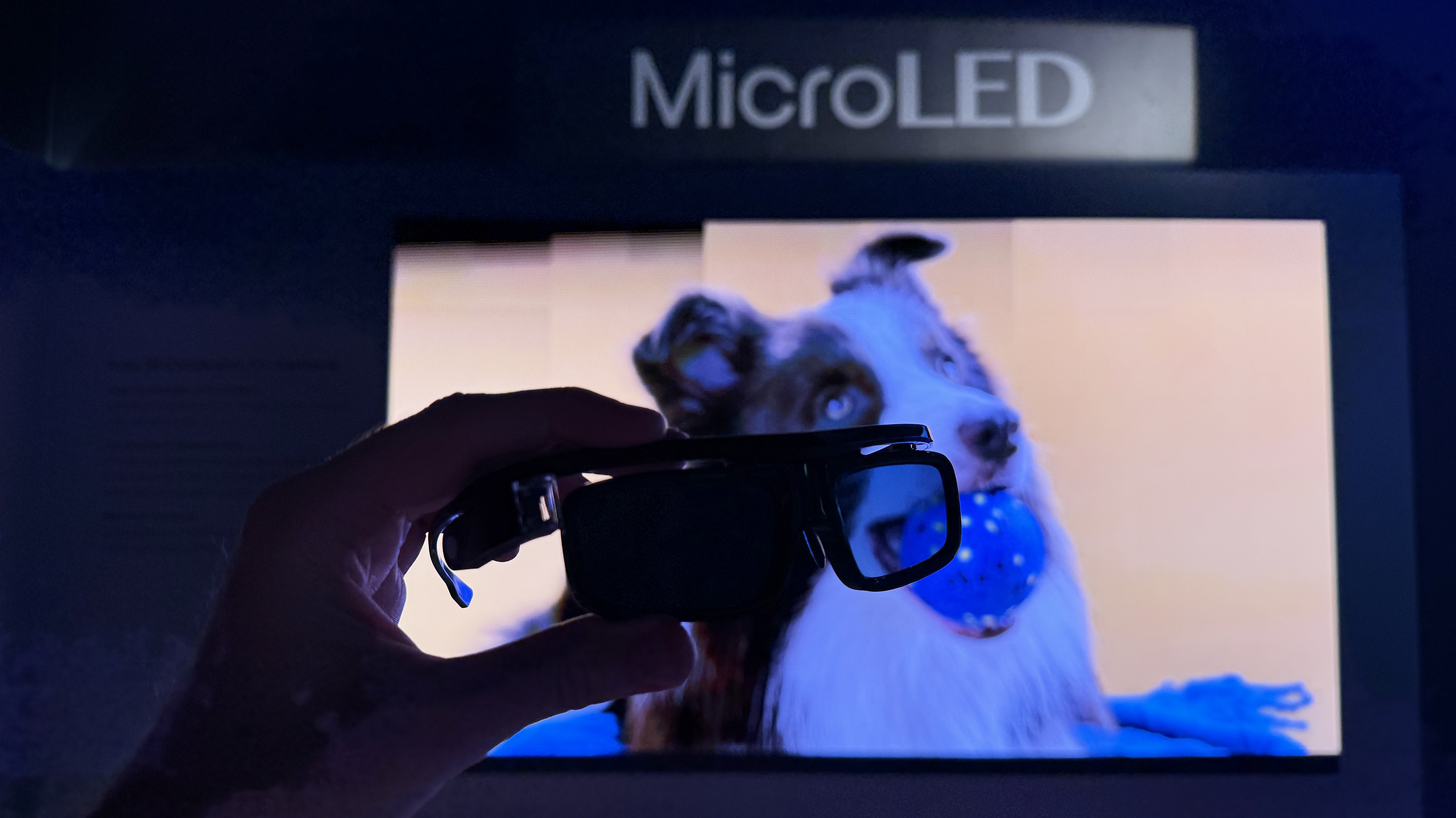 A pair of 3D glasses in front of a micro-LED 3D TV showing a dog on the screen